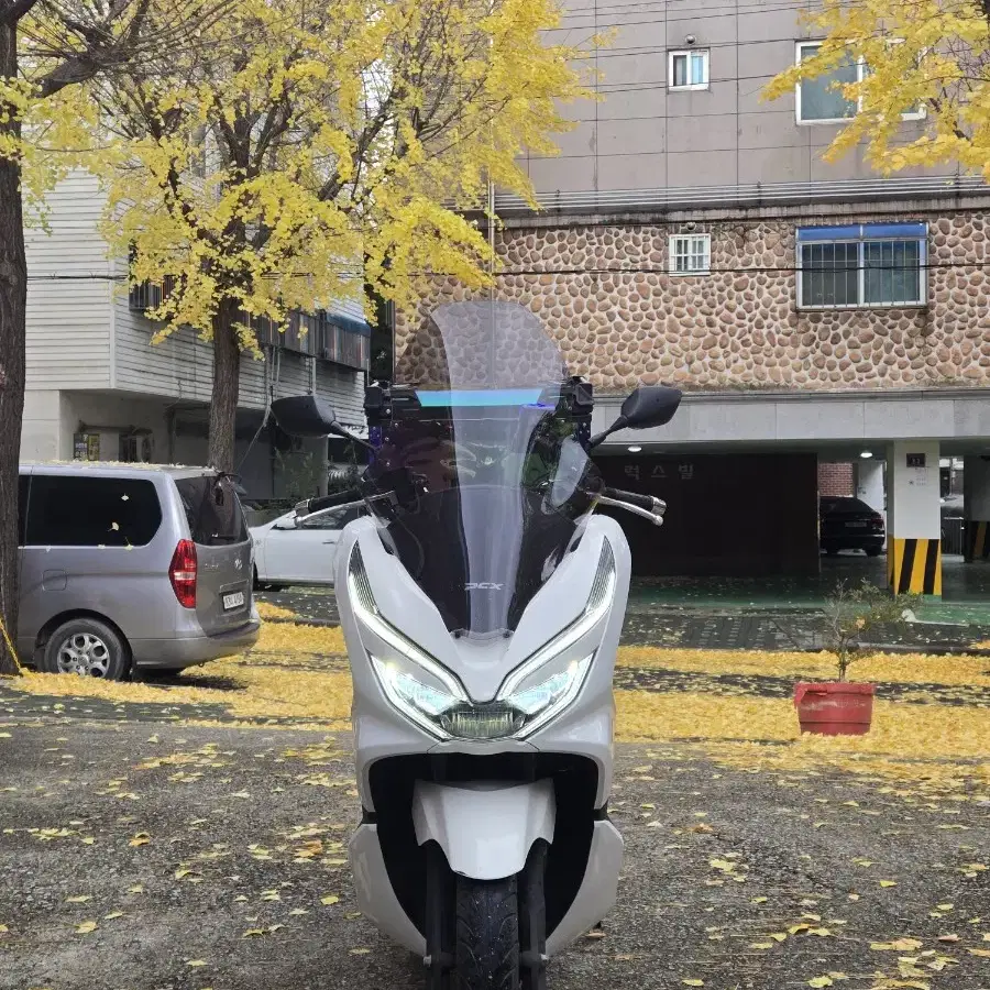 pcx125 20년식 2만Km 알탑,열선 셋팅 팝니다