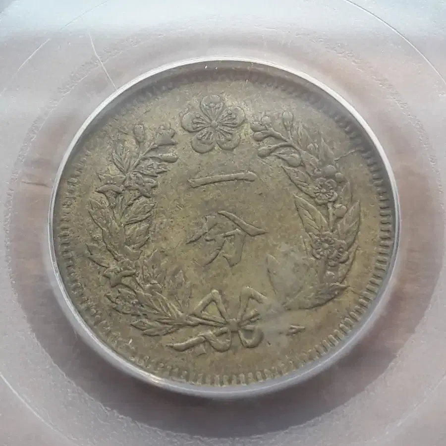 1895년 대한민국(조선 개국 504년) 한푼 PCGS AU53 황동화