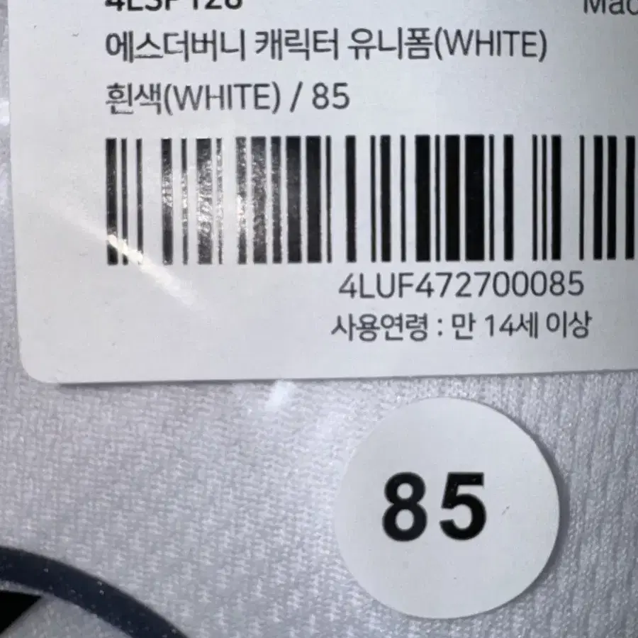 롯데자이언츠 에스더버니 윤동희 85