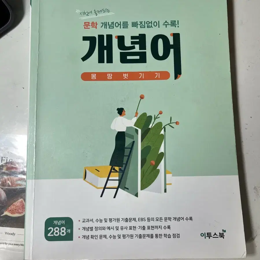 문학개념어 몽땅벗기기