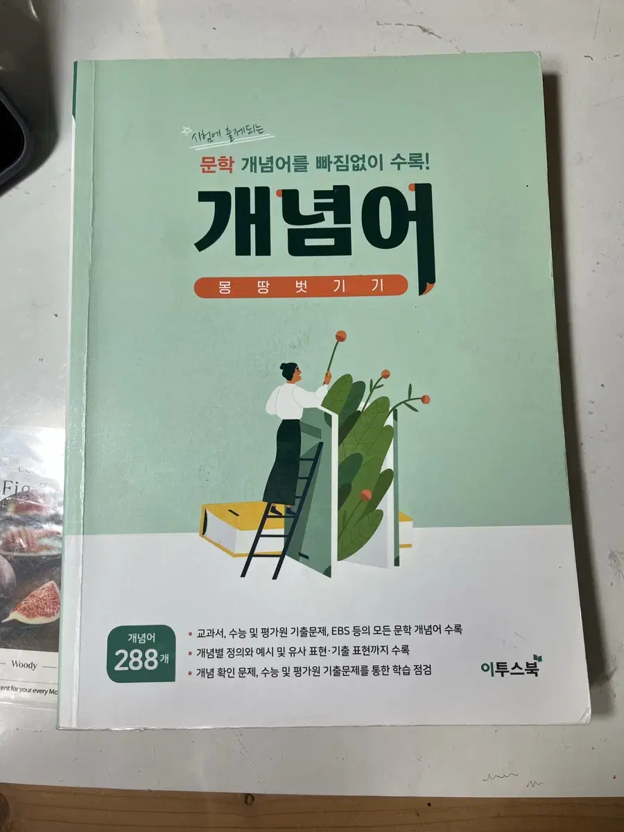 문학개념어 몽땅벗기기