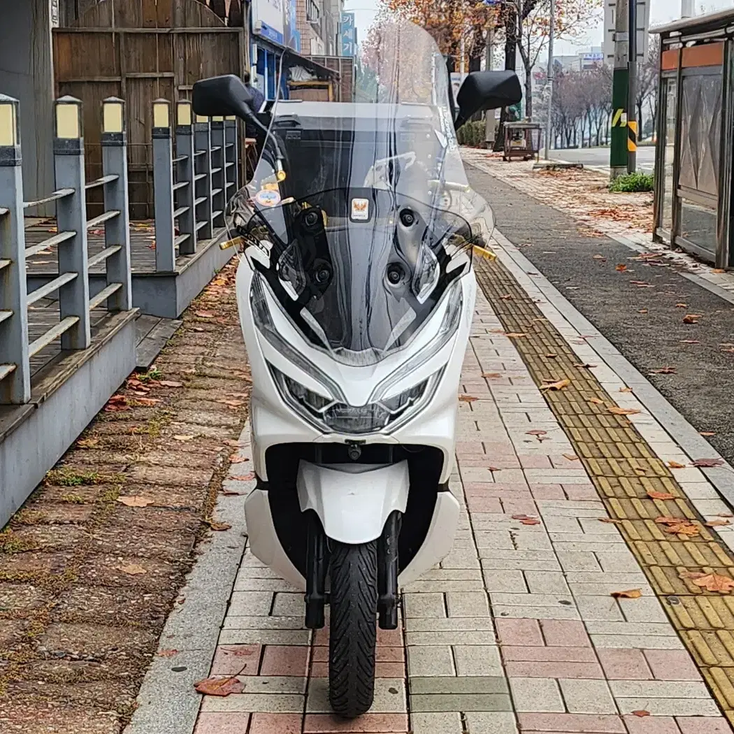 2019년 혼다 더뉴 PCX125  옵션다수 판매합니다.