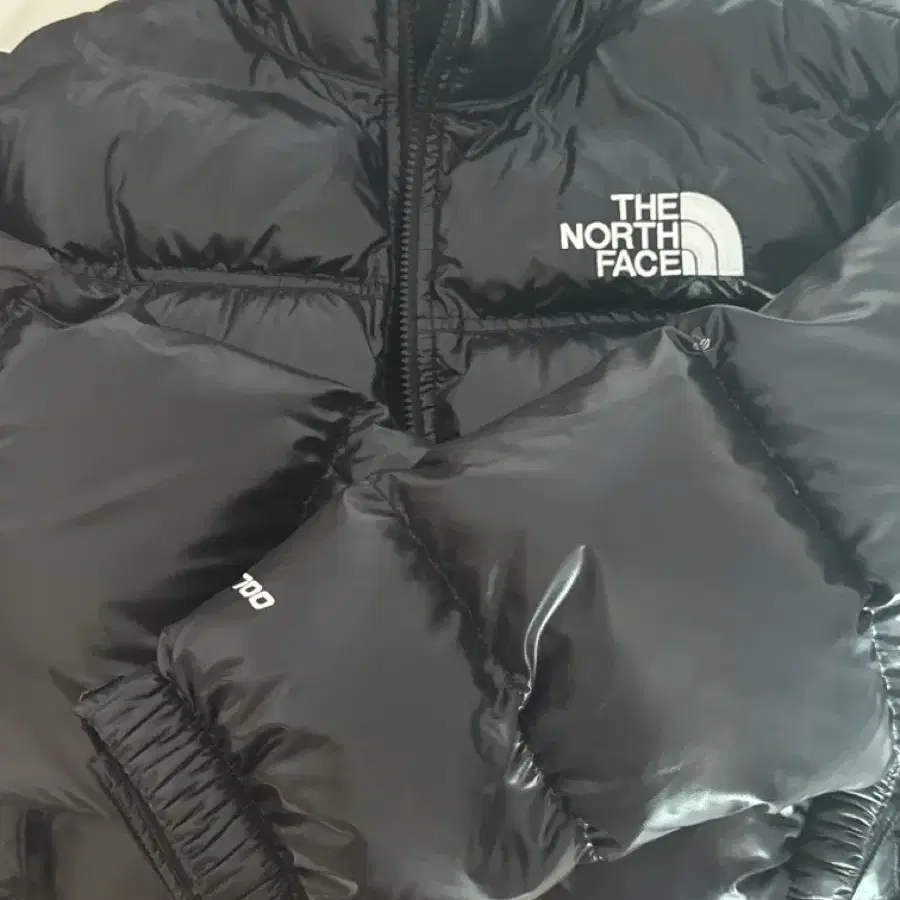 노스페이스 tnf 크롭