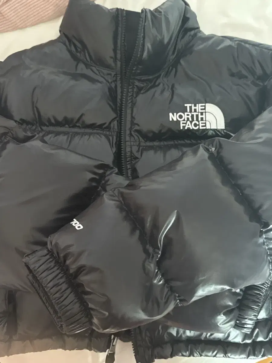 노스페이스 tnf 크롭