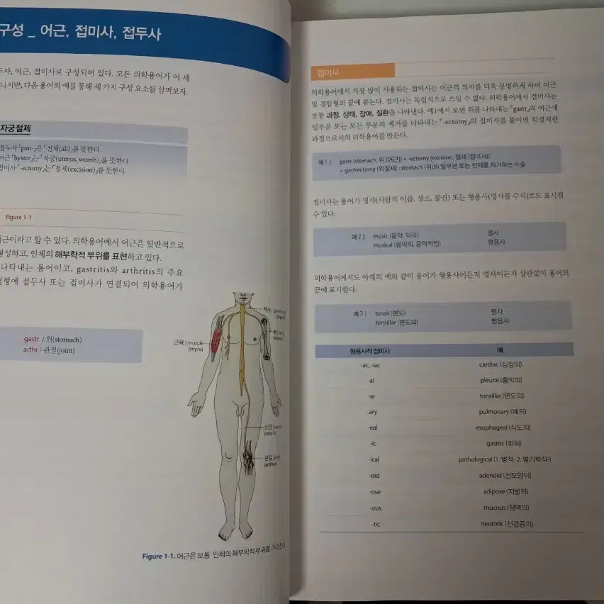 알기쉽게 풀이한 의학용어(아카데미아) 팝니다