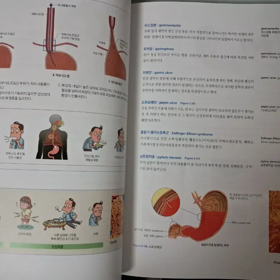 알기쉽게 풀이한 의학용어(아카데미아) 팝니다