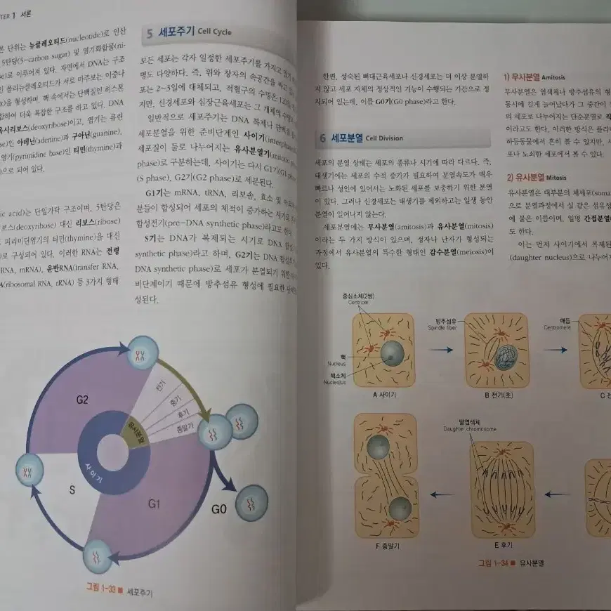 해부학 3판(학지사메디컬) 팝니다