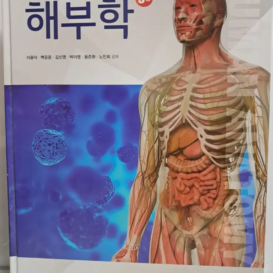 해부학 3판(학지사메디컬) 팝니다