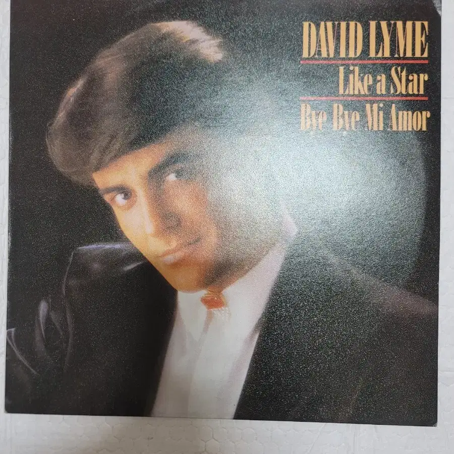 DAVID LYME LP bye bye mi amor 수록