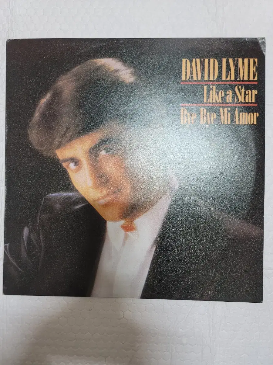 DAVID LYME LP bye bye mi amor 수록