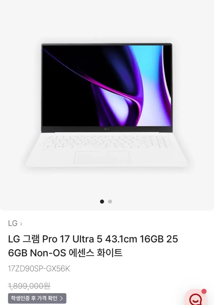 2024 LG그램 17pro