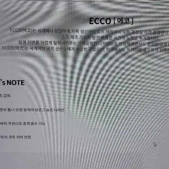 ECCO 남성 ST.1 하이브리드 라이트 브로그