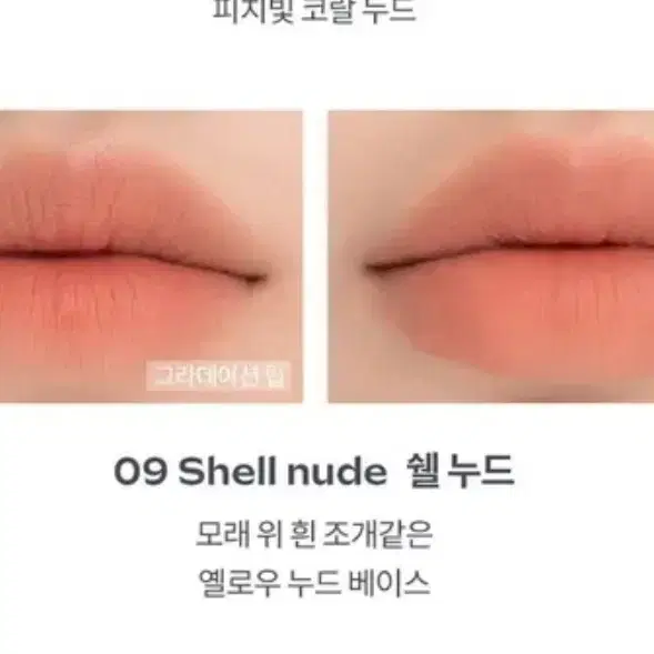 롬앤 쉘누드