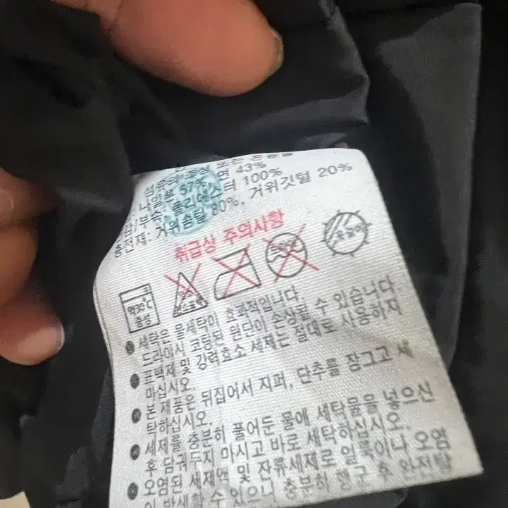 백화점) 라코스테 구스다운 패딩