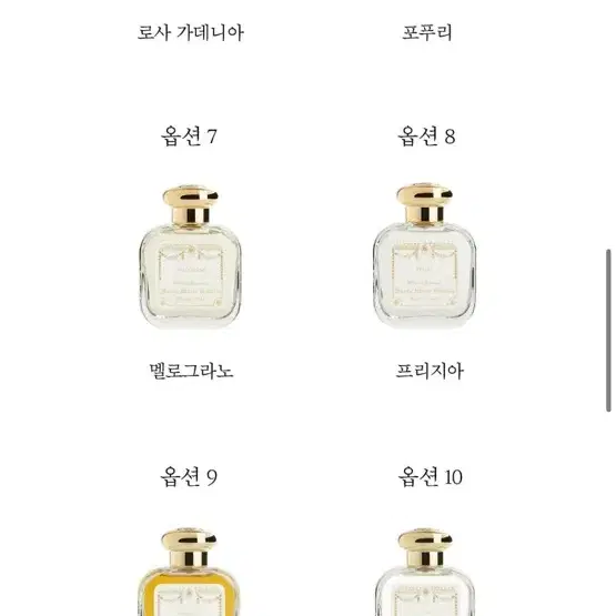 피렌체1221에디션오드코롱 50ml