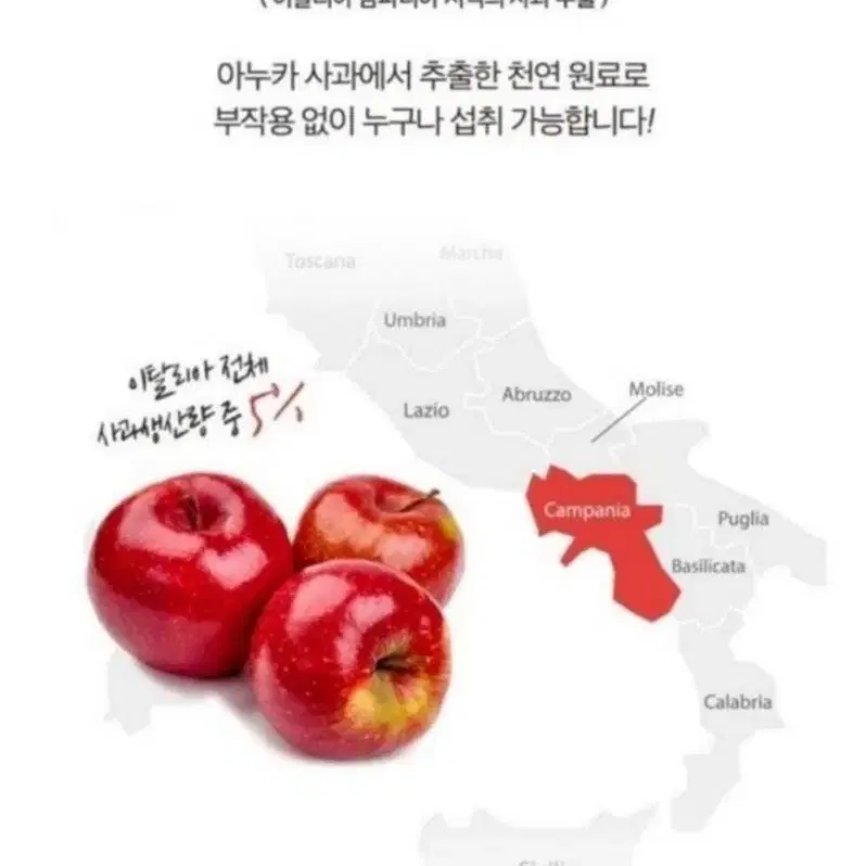 아누카사과추출분말