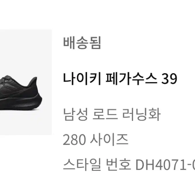 280) 나이키 페가수스 39 블랙