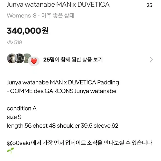 Junya watanabe Man x DUVETICA padding