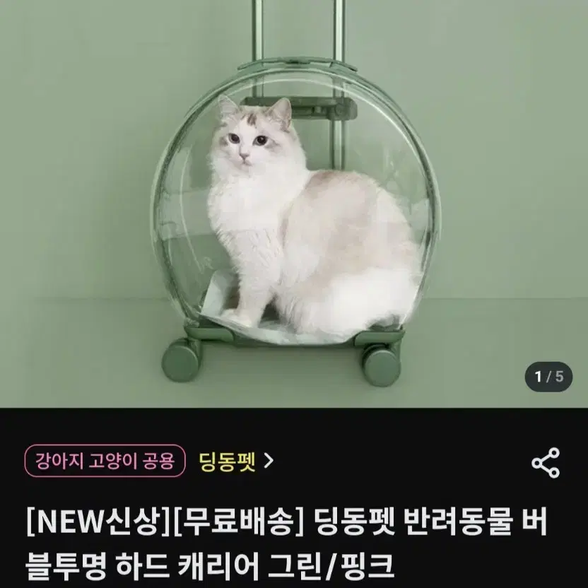 딩동펫 반려동물 버블투명 하드케리어 그린