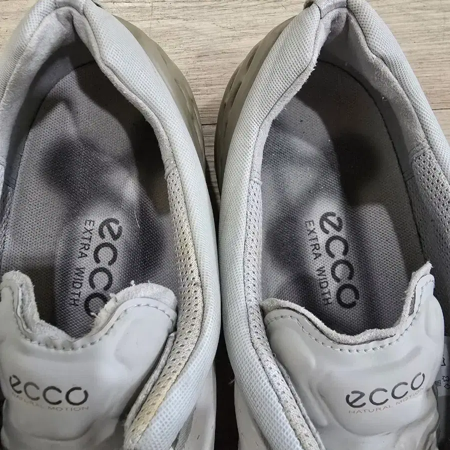 ECCO GOLF 케이지 골프화 270mm