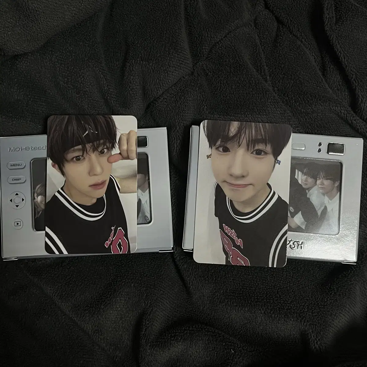 Wish Steady album sion Sakuya Photo Card photocard full set unsealed Q.R.