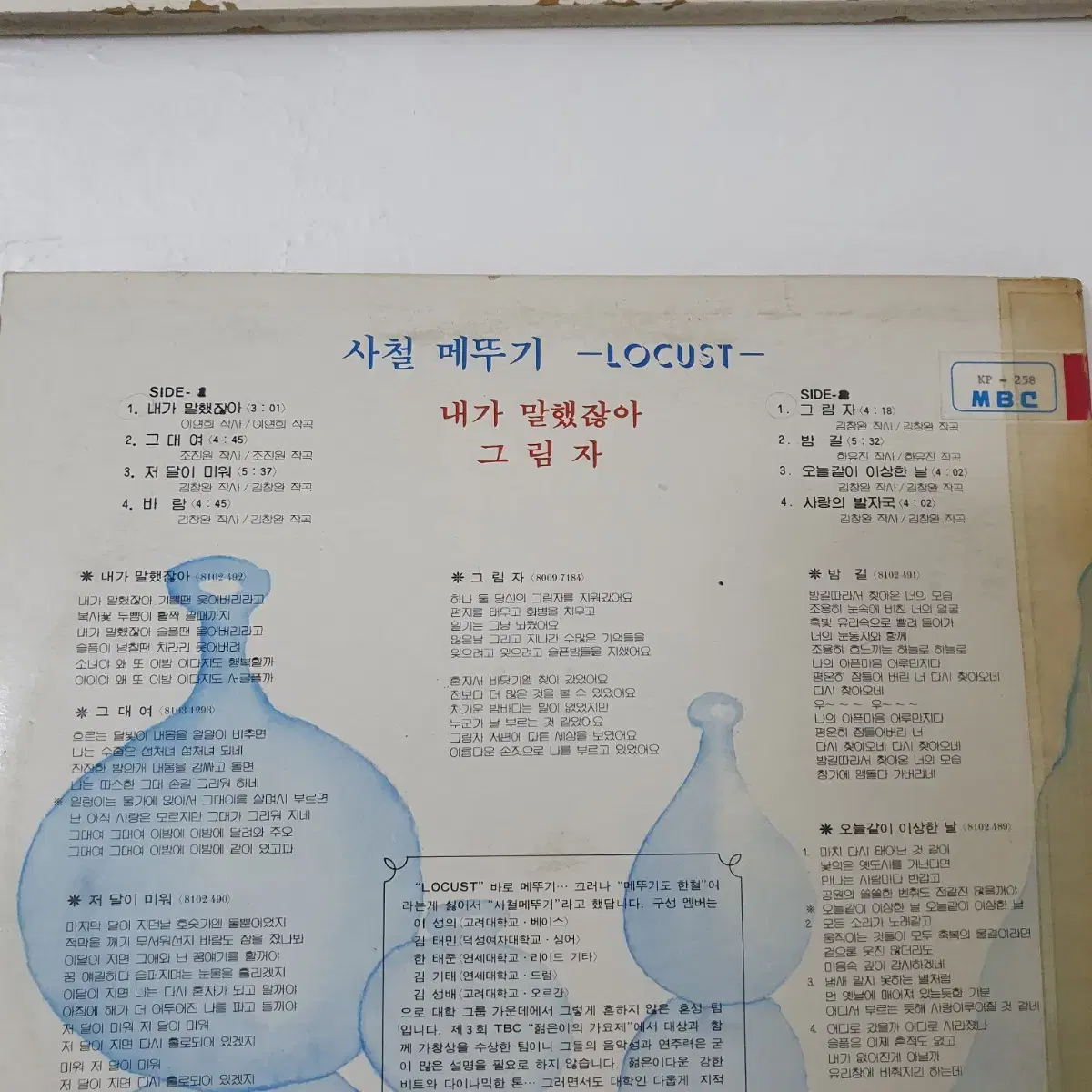 로커스트(사철메뚜기)   LP 1981  내가말했잖아  김창완작사.작곡집