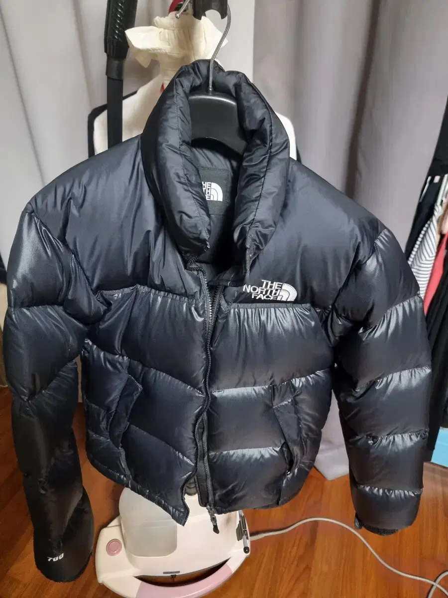 The North Face The North Face Goldwyn Korea Nupsi 700 85 XS Unisex