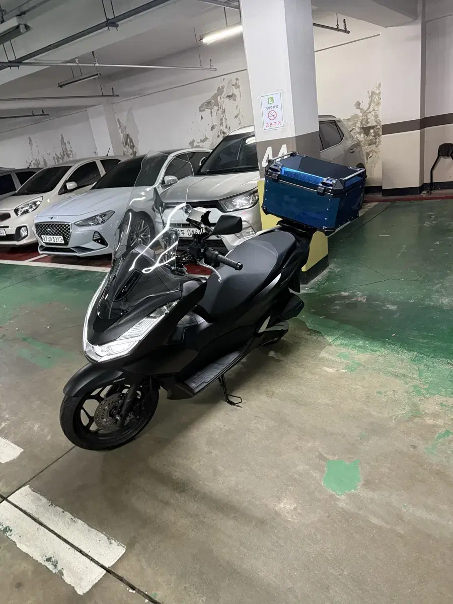 Pcx125 24년식 판매