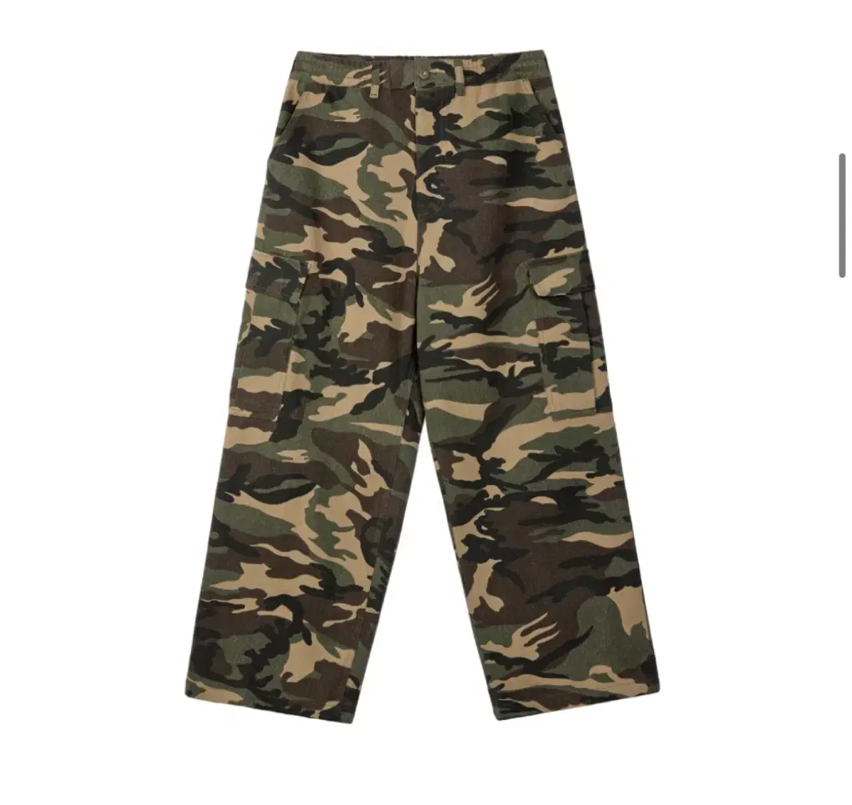 [2size] ERTR Big PL Cargo Pants