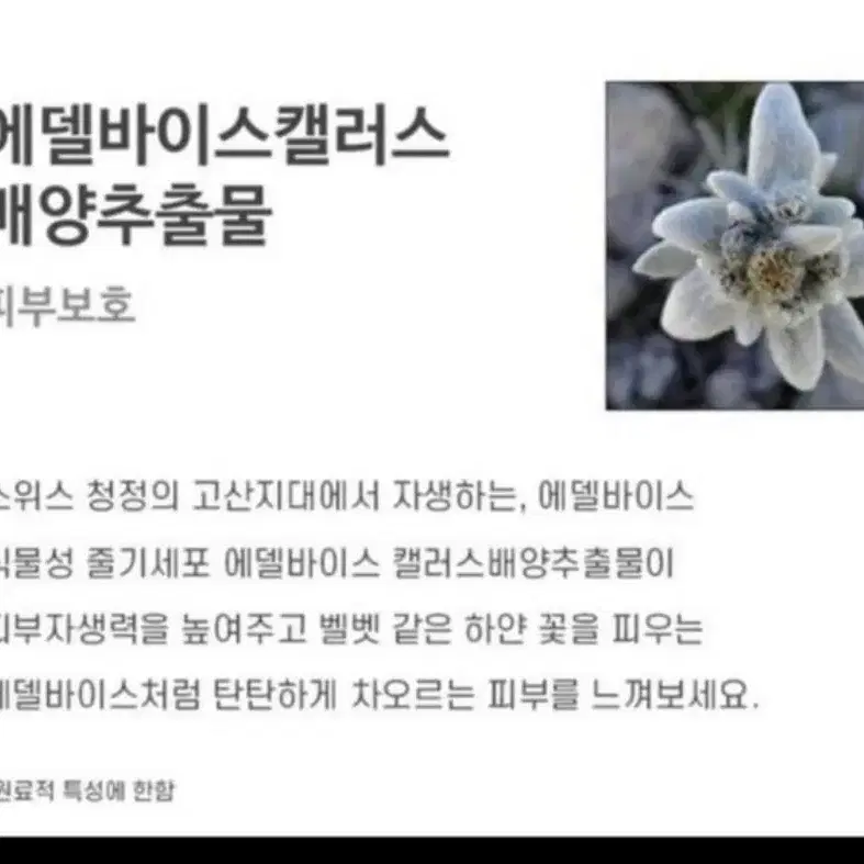 (무료배송) 24k 골드펩타이드 안티에이징 세럼