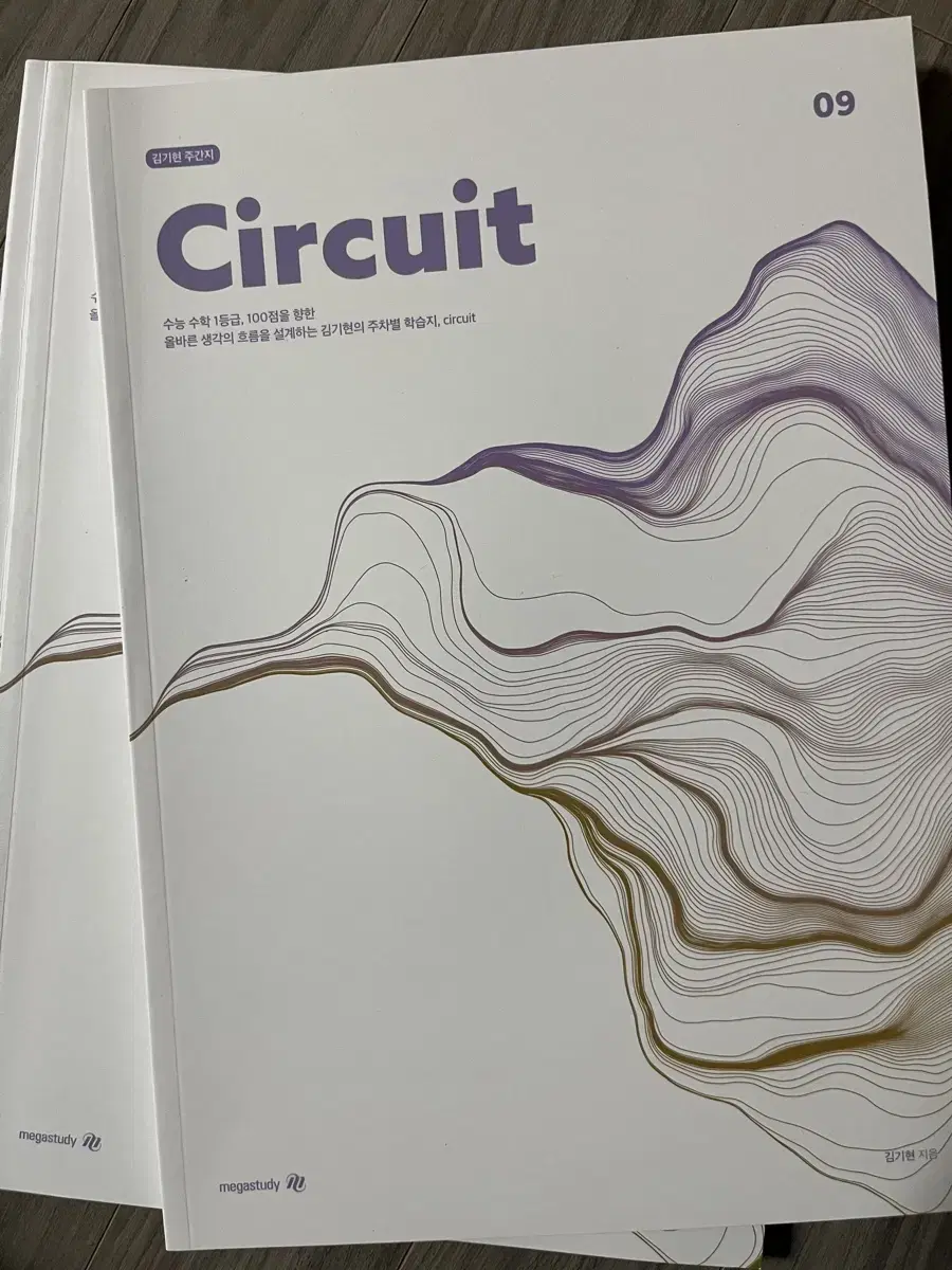 김기현 서킷circuit