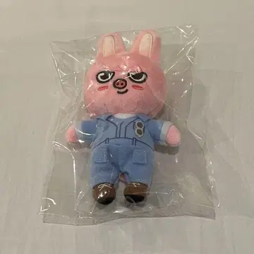 [미개봉 새상품] 스트레이키즈 창빈 2023 POP UP 봉제 인형