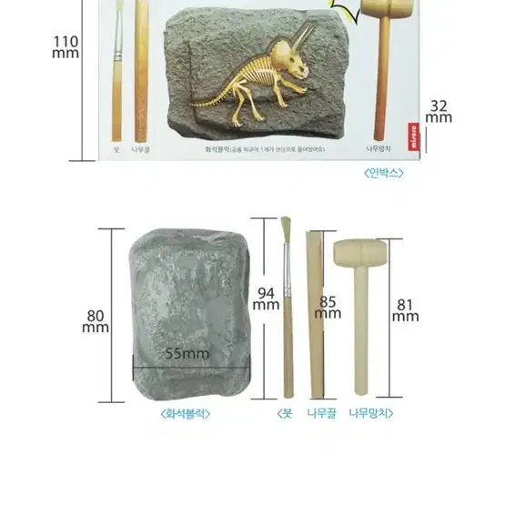 공룡 화석 발굴키트 장난감