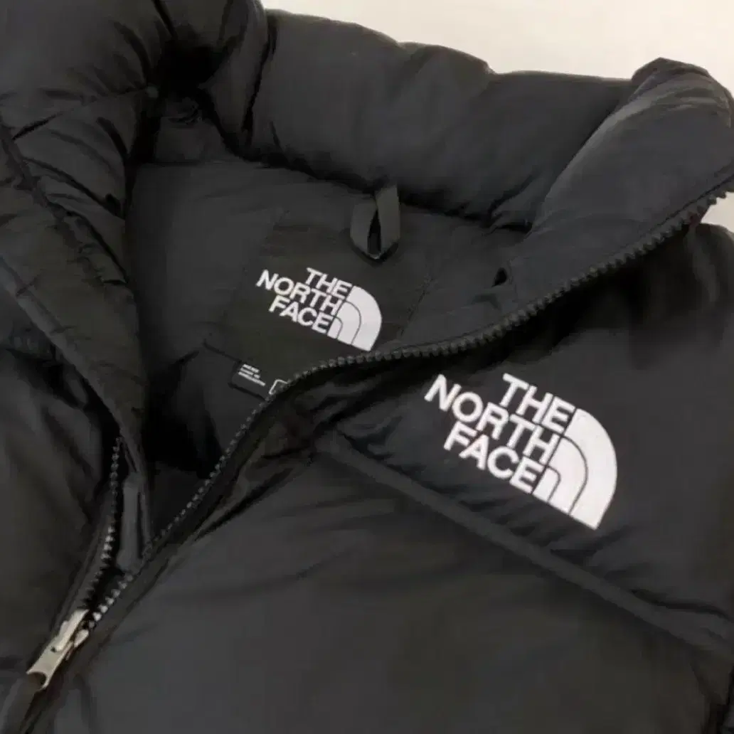 The north face 노스페이스 1996  미국버전 남성 패딩