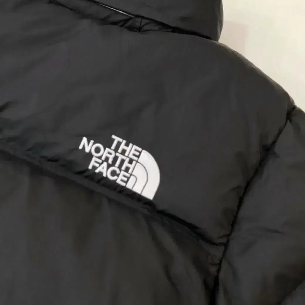 The north face 노스페이스 1996  미국버전 남성 패딩