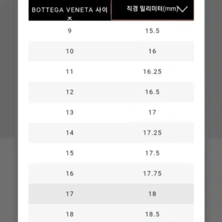 [19]보테가 베네타 골드링