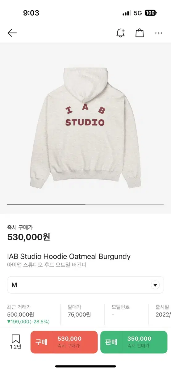 iAppStudio Hoodie Oatmeal