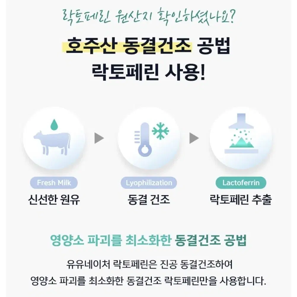 초유단백질 락토페린 60정 (2개월분) / 새제품