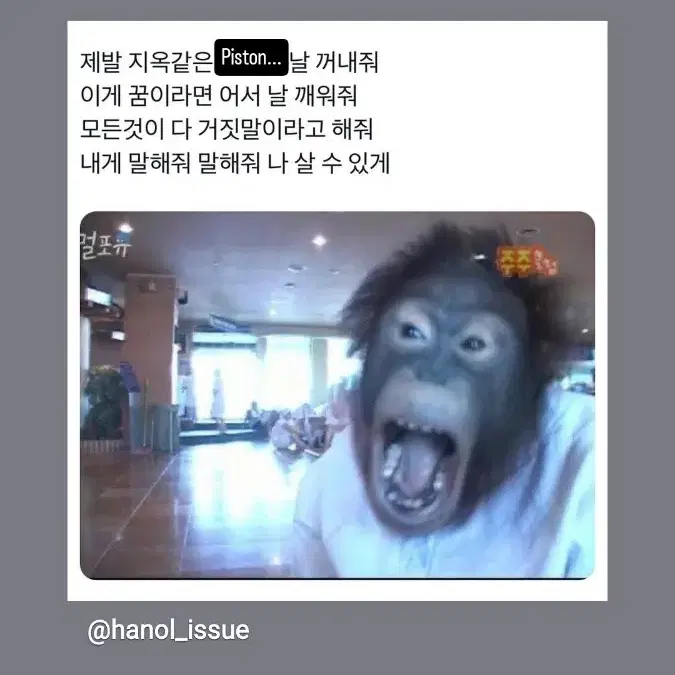 롯데월드 오후권  구합니다