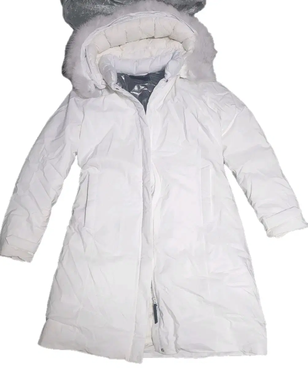 Goose down jacket Goose down (negotiable)