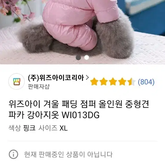 애견 패딩 올인원