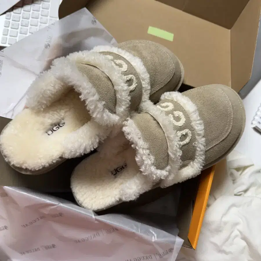 어그 Ugg 바이올렛 슬리퍼 250 xl 새상품