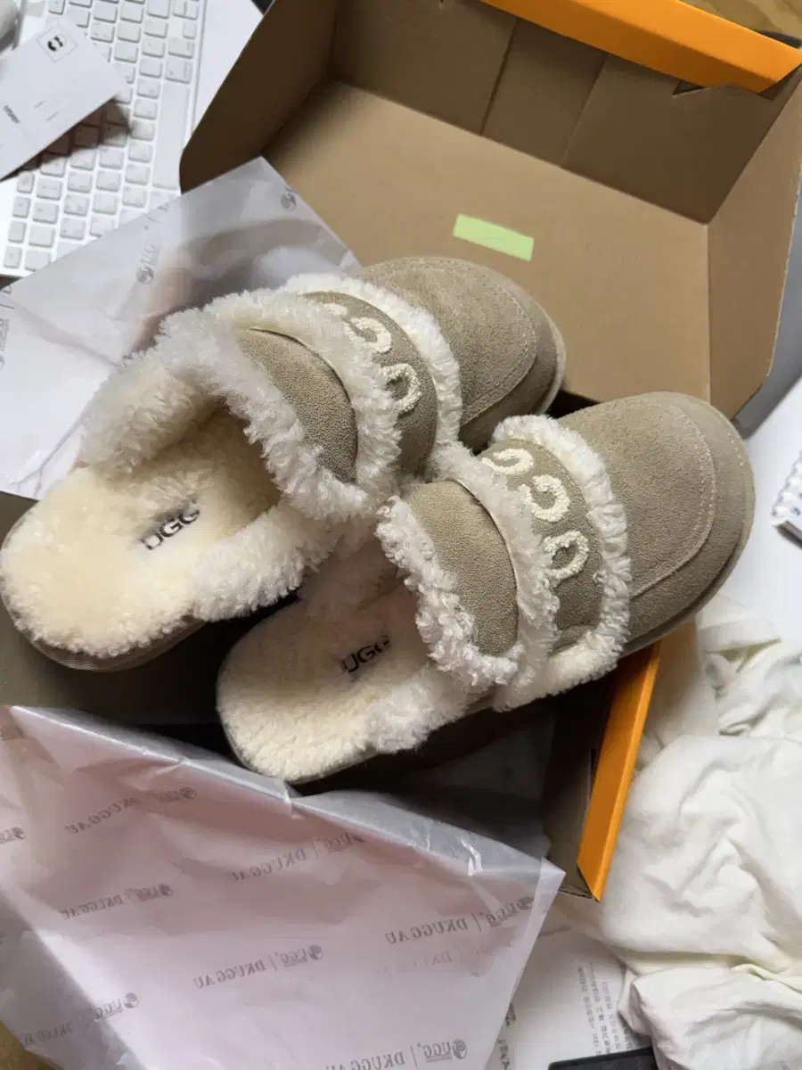 어그 Ugg 바이올렛 슬리퍼 250 xl 새상품