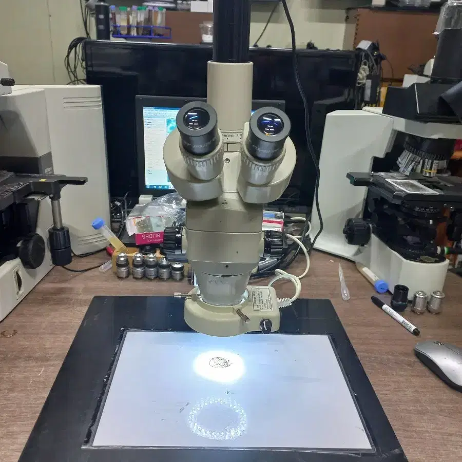 니콘3안 실체현미경 대여렌탈