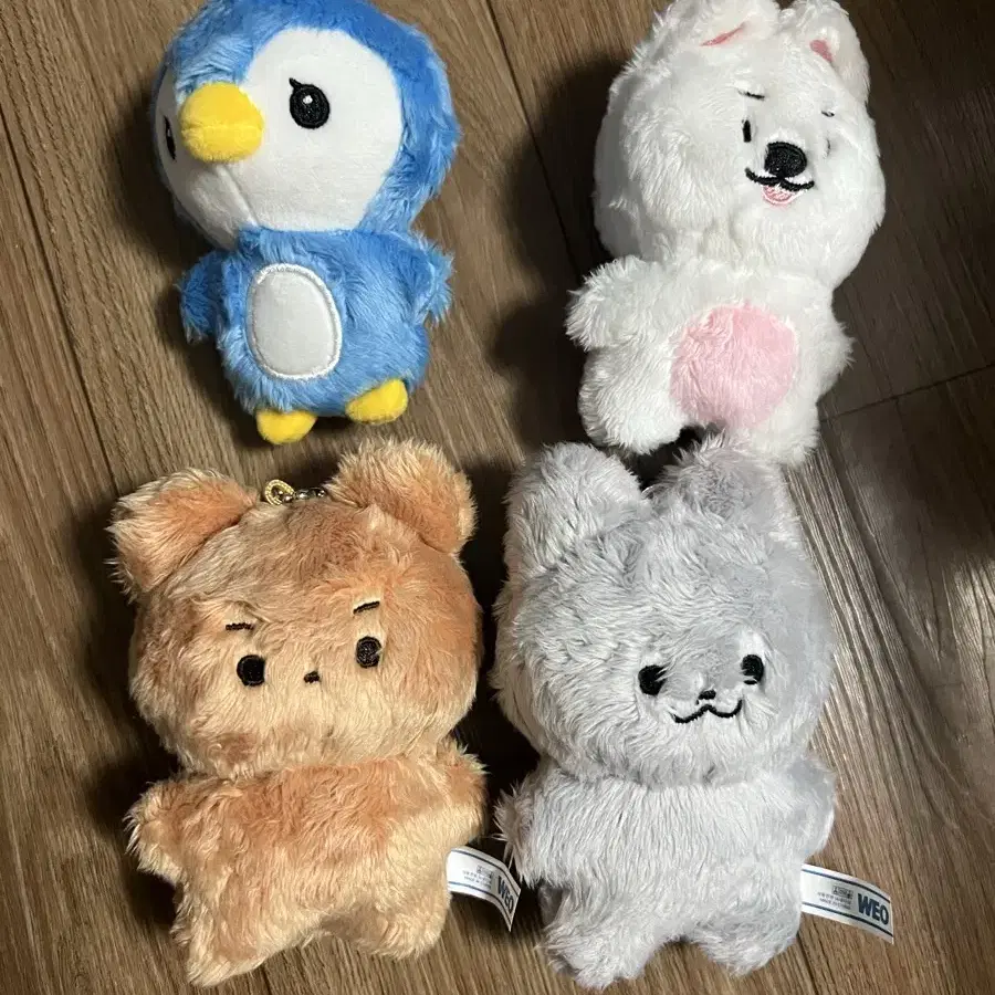 더보이즈 제리 펭짜니 멍재 달곰 쥬냥