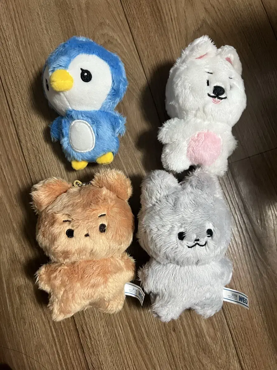 더보이즈 제리 펭짜니 멍재 달곰 쥬냥