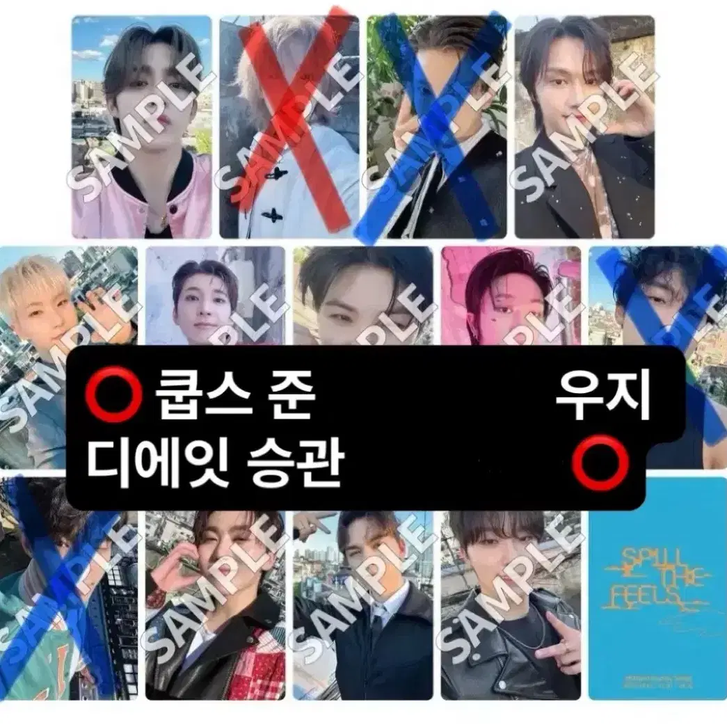 세븐틴 스필더필스 후쿠오카 분철 정한호시원우민규분철이즈위캐럿존소비기한