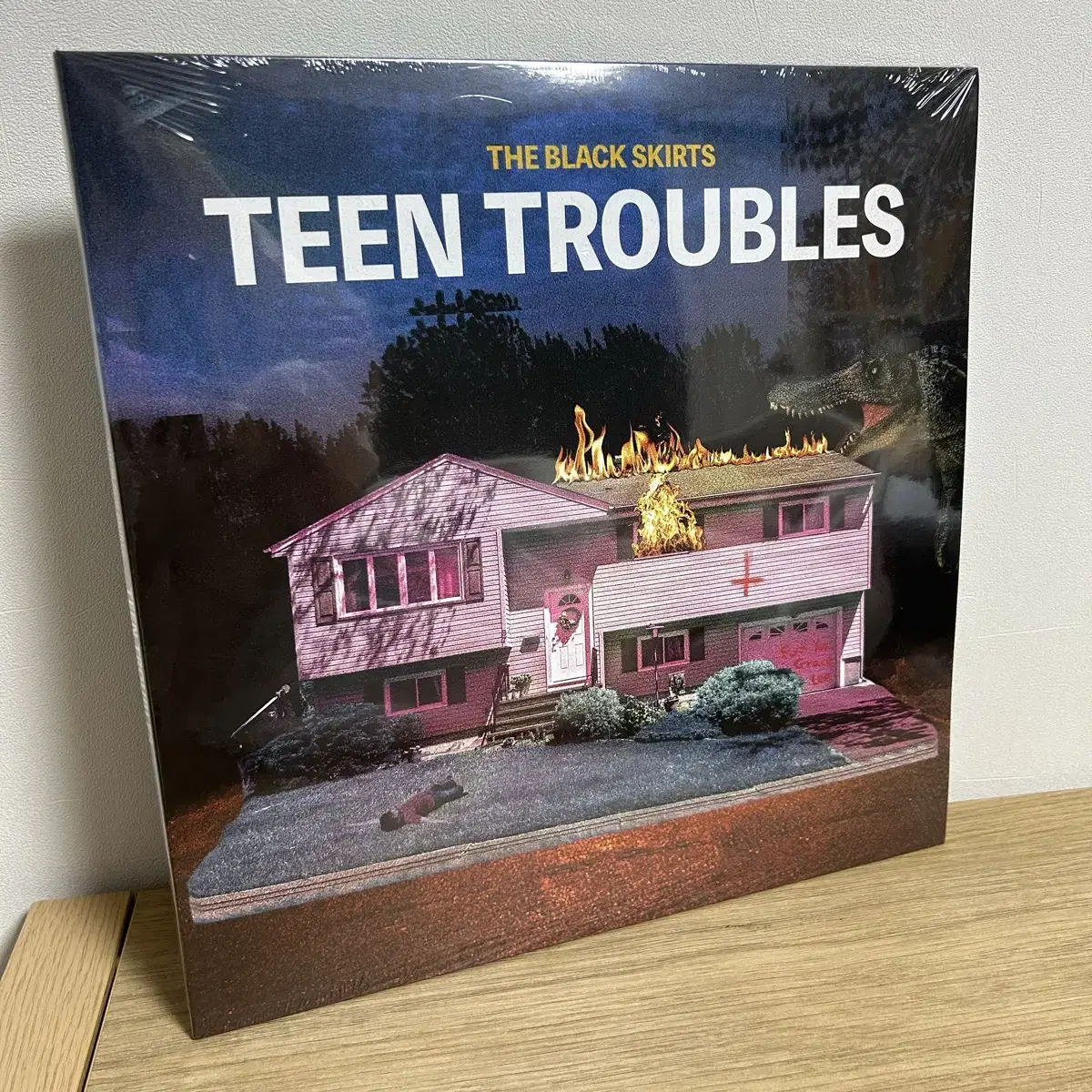 검정치마 LP teen troubles 틴트러블즈 엘피 바이닐 vinyl