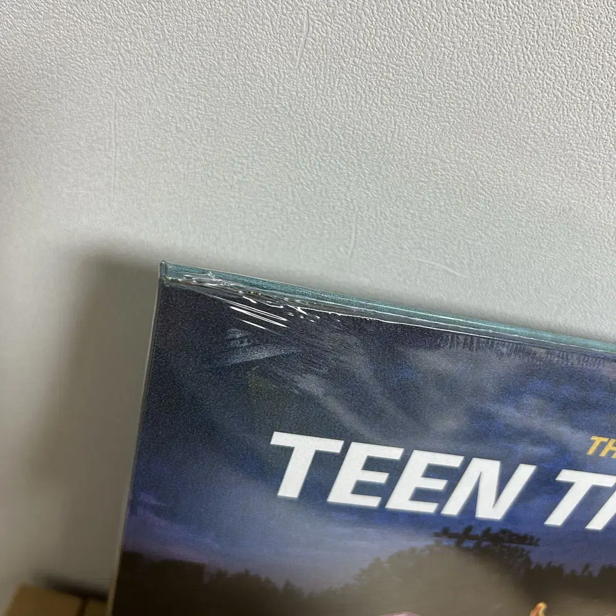 검정치마 LP teen troubles 틴트러블즈 엘피 바이닐 vinyl