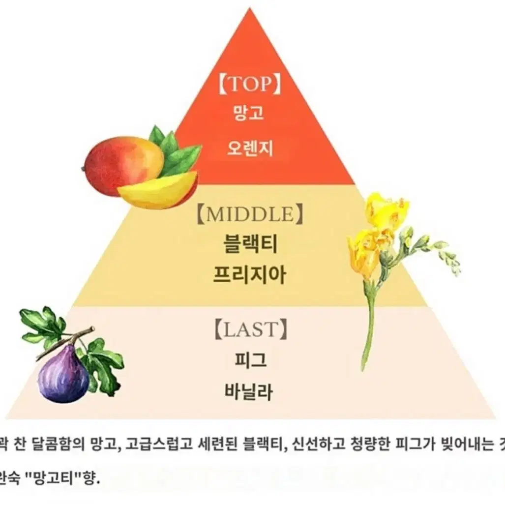 페르난다 망고티 바디미스트 바디스플래시 바디스플래쉬 향수